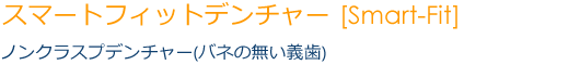 スマートフィットデンチャー ノンクラスプデンチャーバネの無い義歯